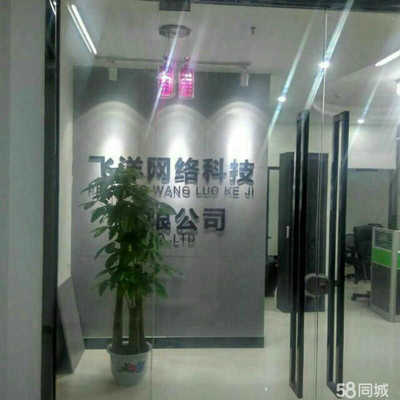 飛洋網絡科技 以技術服務為核心，引領數字化轉型新航程
